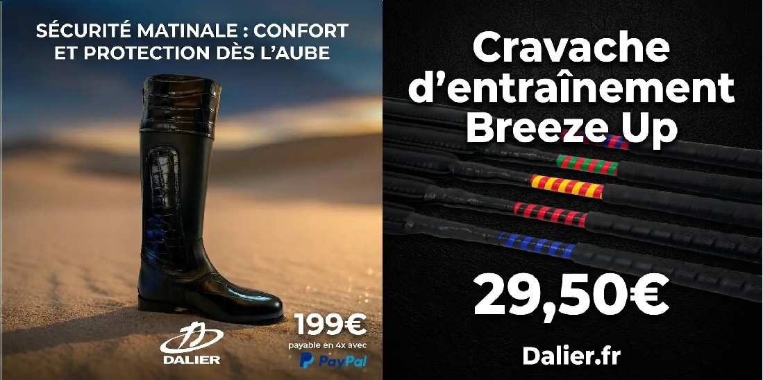 slider style d cravache